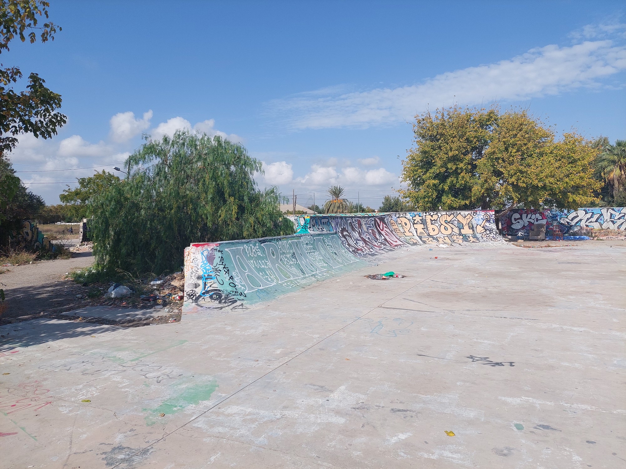 Cementerio DIY skatepark